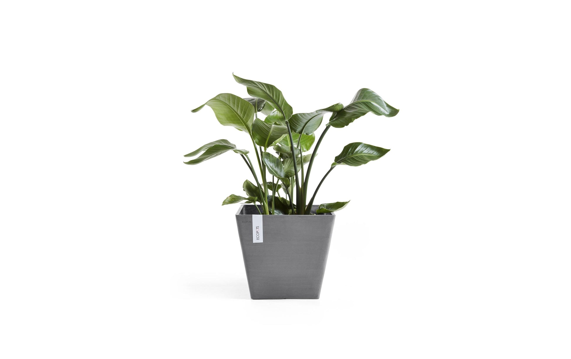 Permapack Ecopots Rotterdam Pflanztopf – 40 × 40 × 35 cm – Recycling-Kunststoff, Grau