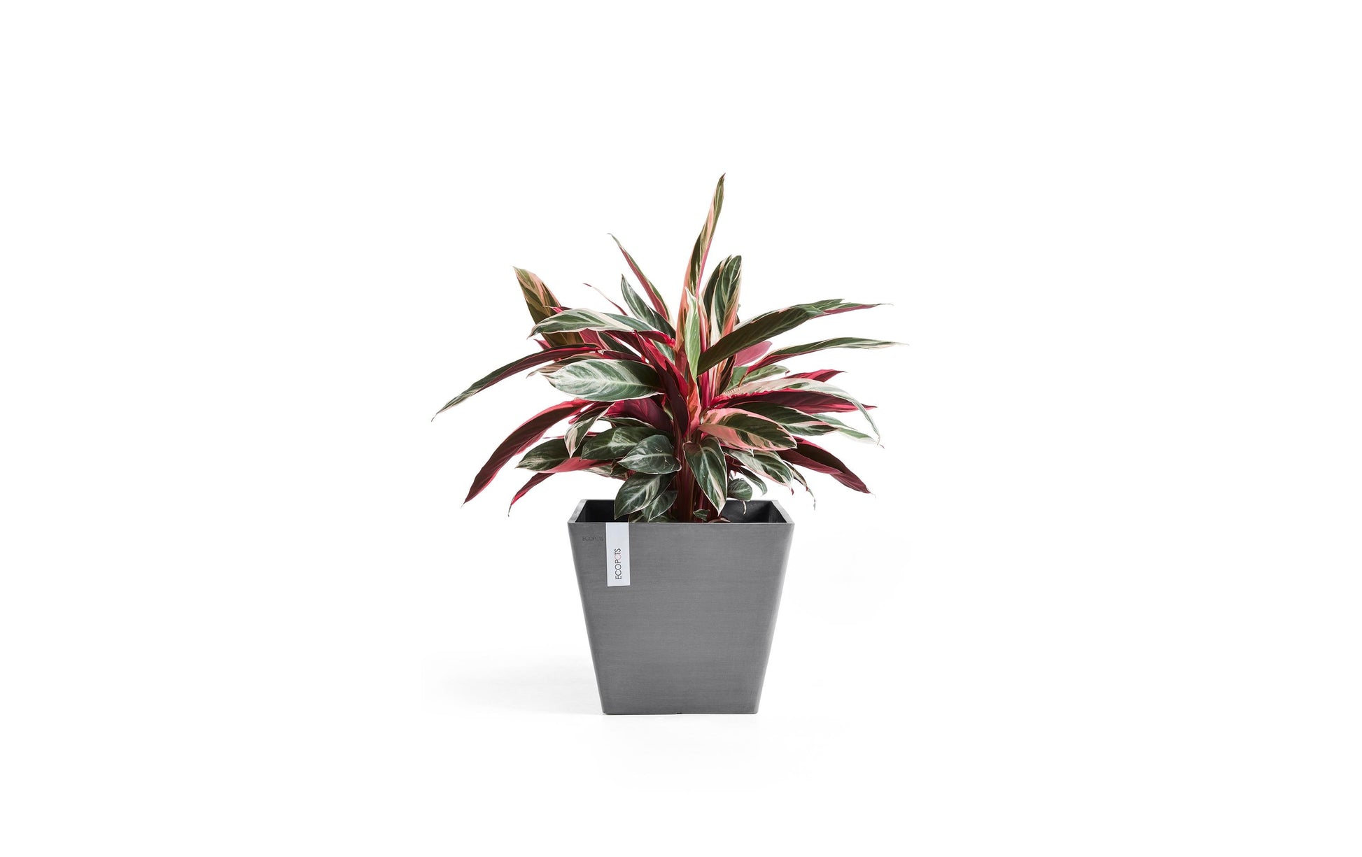 Permapack Ecopots Rotterdam Pflanzentopf – 50 × 44 × 50 cm – Recycling-Kunststoff, Grau