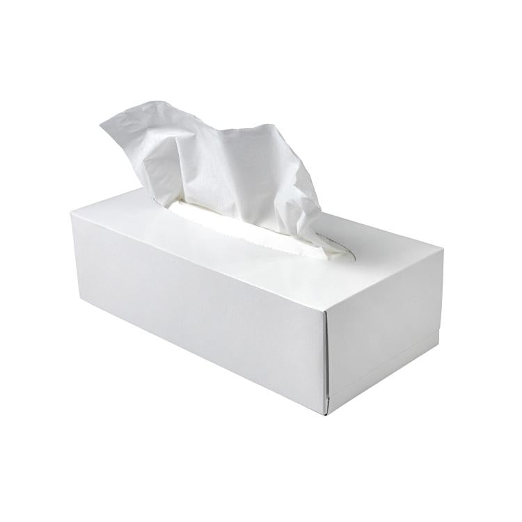 Wepa Kosmetiktücher Box – 2-lagig, Zellstoff, hochweiss – 40 Boxen à 100 Tücher
