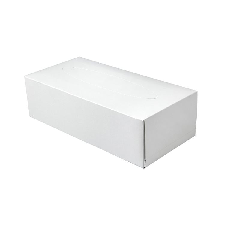 Wepa Kosmetiktücher Box – 2-lagig, Zellstoff, hochweiss – 40 Boxen à 100 Tücher
