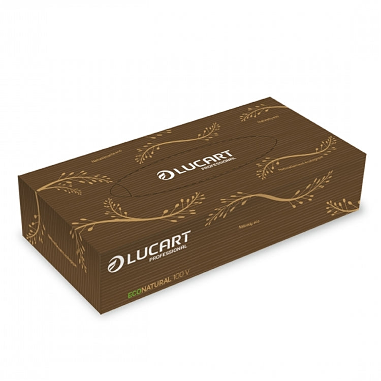 Lucart professional EcoNatural Kosmetiktücher Box – 2-lagig, Recyclingpapier – 40 Boxen à 100 Tücher