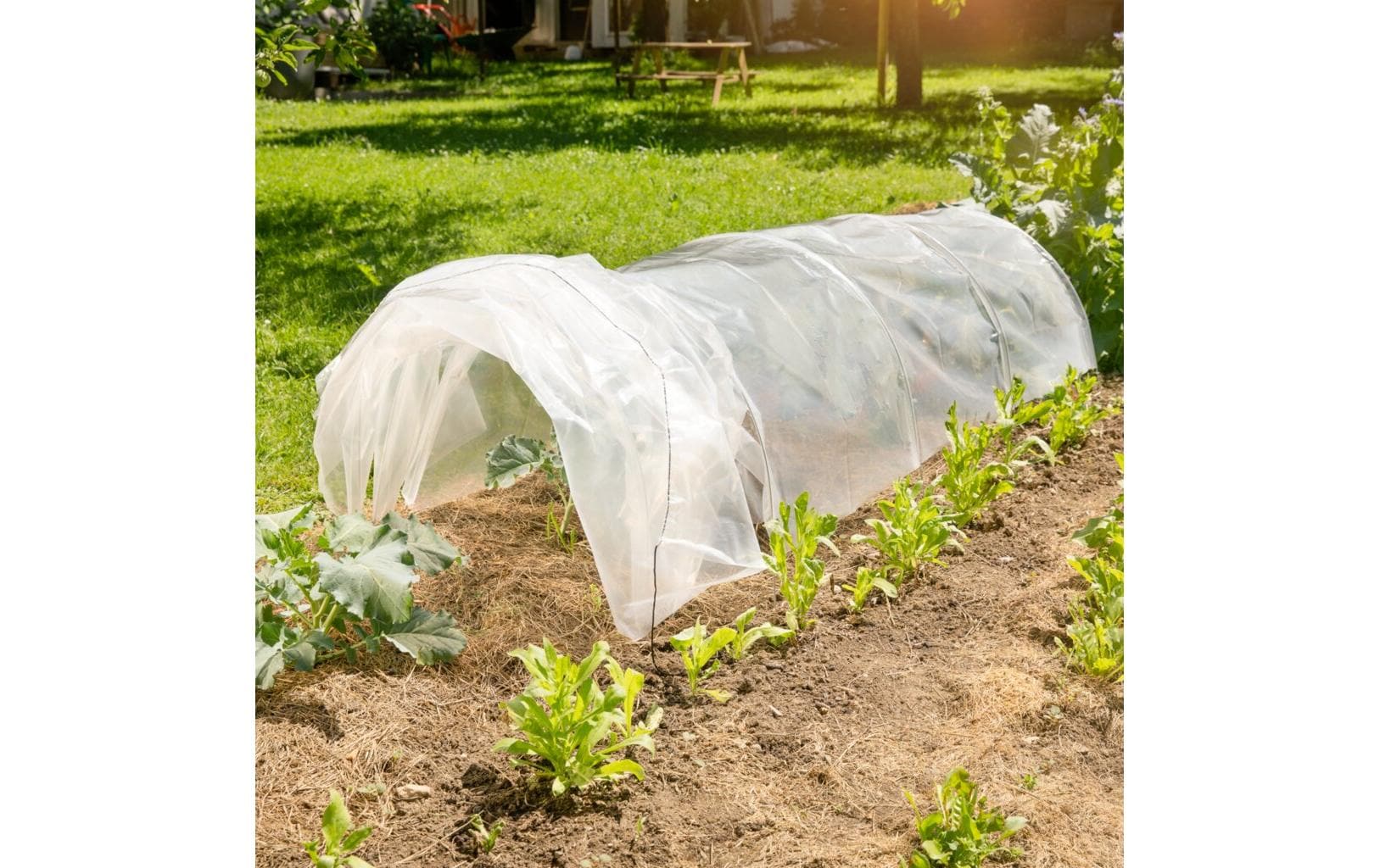 Windhager Folien-Tunnel Akkordeon – 60 cm × 300 cm × 45 cm, 43 g/m², Durchscheinend
