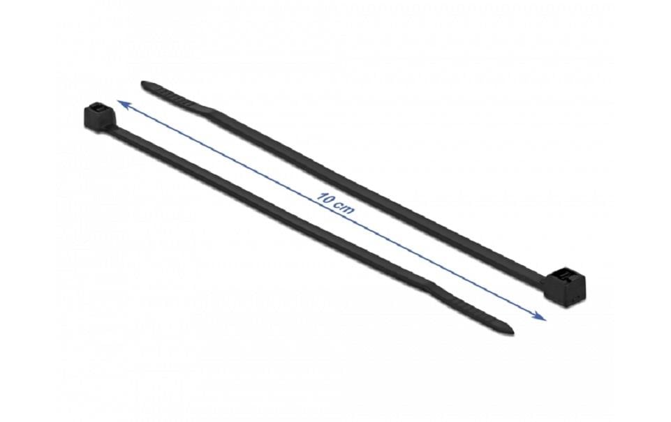 DeLOCK Kabelbinder, 100×2,5 mm, 100er-Pack – schwarz