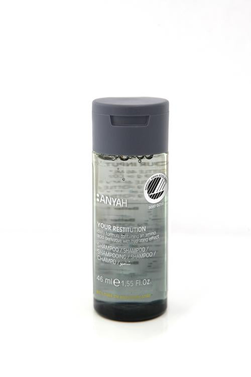 Anyah Shampoo 2-in-1, Nordic Ecolabel – 216 × 46 ml