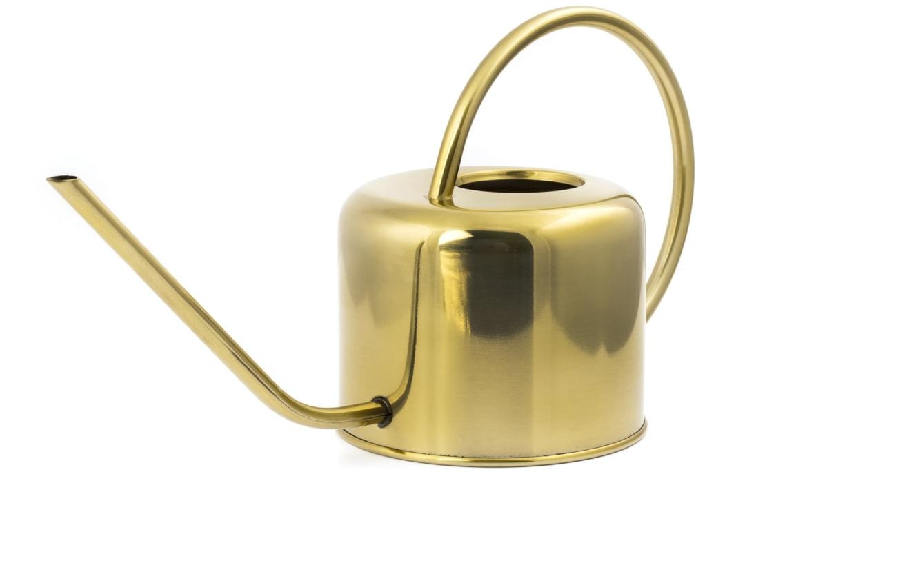 Kikkerland Giesskanne – 1200 ml – Stahl, Gold