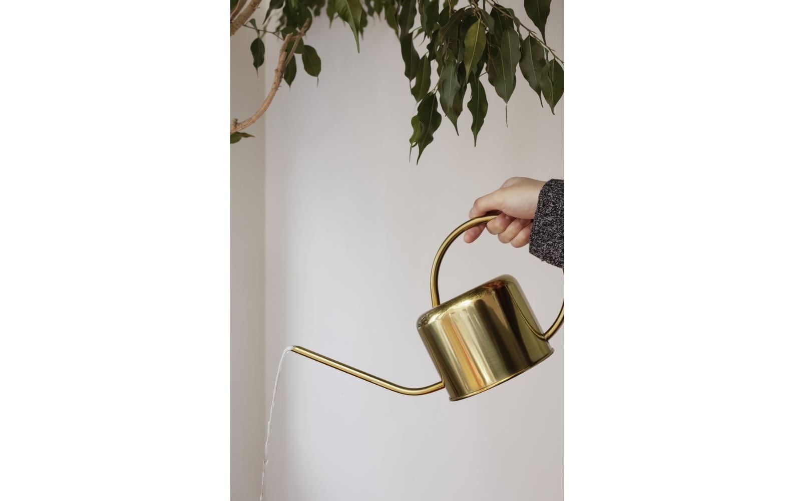 Kikkerland Giesskanne – 1200 ml – Stahl, Gold