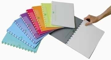 Adoc PAP-EX Colorlines Notizheft – A5 – kariert – PP-Umschlag 500 µ, mehrfarbig, 10 Stück