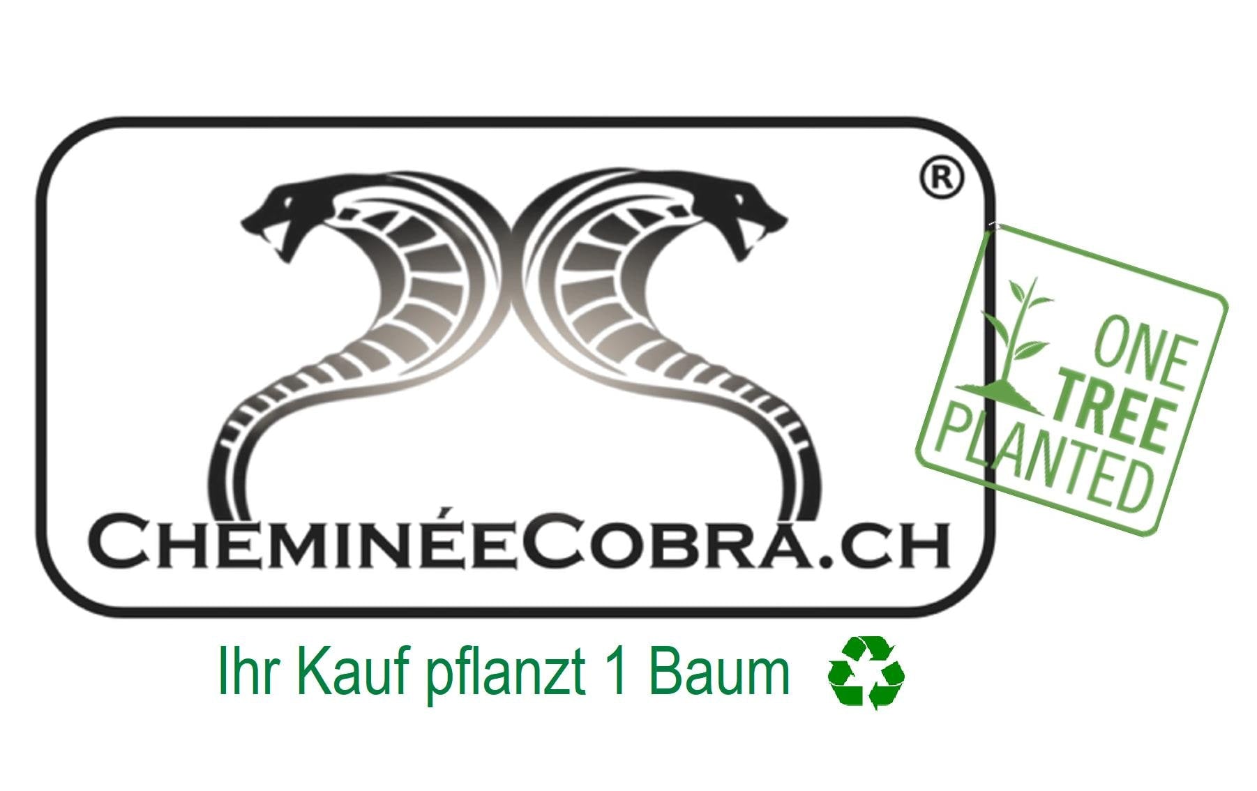 Swiss Cobra Grösse S Aufbewahrungsbox – für Spaltholz 200–250 mm – Edelstahl – 280 × 190 × 200 mm