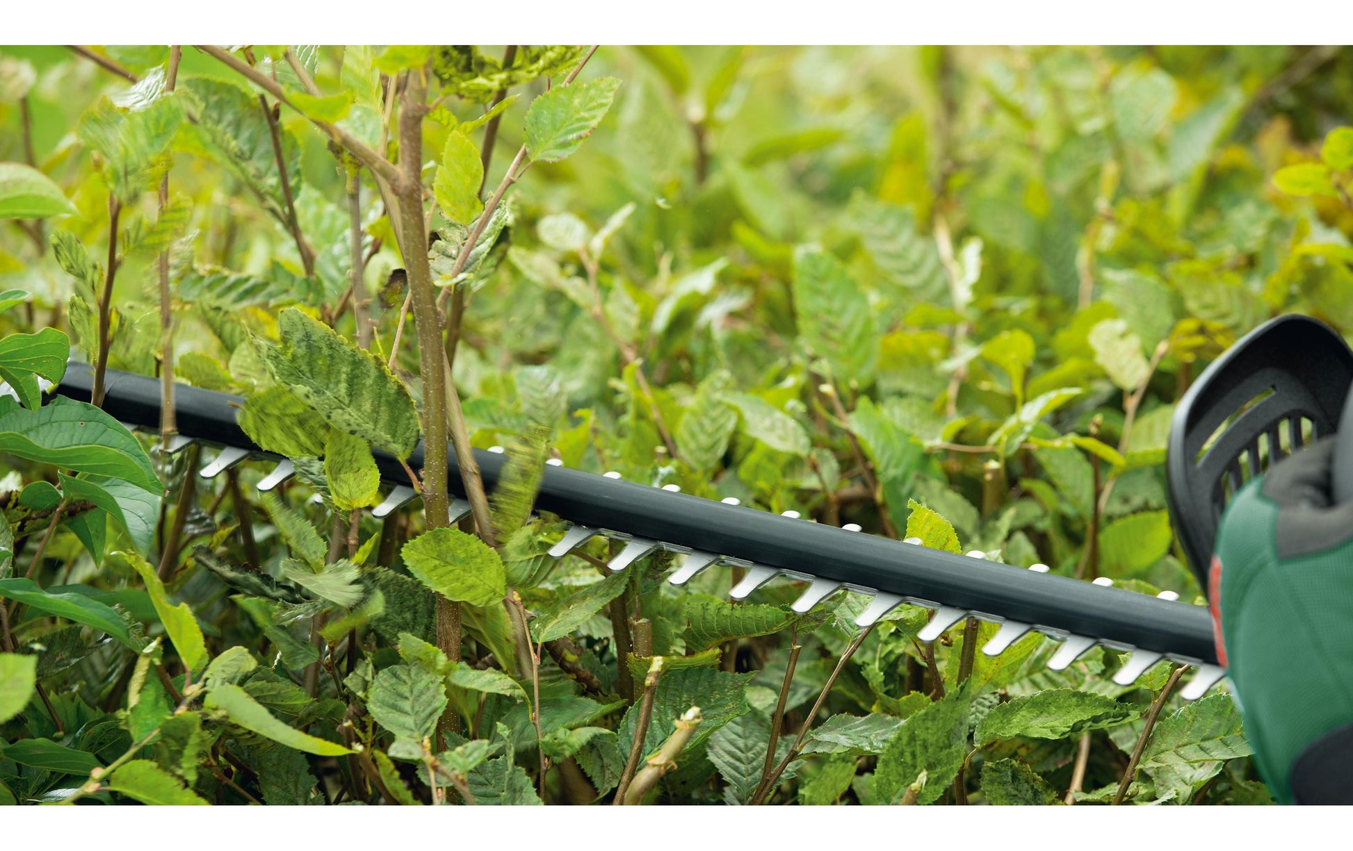 Bosch UniversalHedgeCut Akku-Heckenschere – 18 V – Schwertlänge 50 cm – 2,5 Ah & Ladegerät – POWER FOR ALL