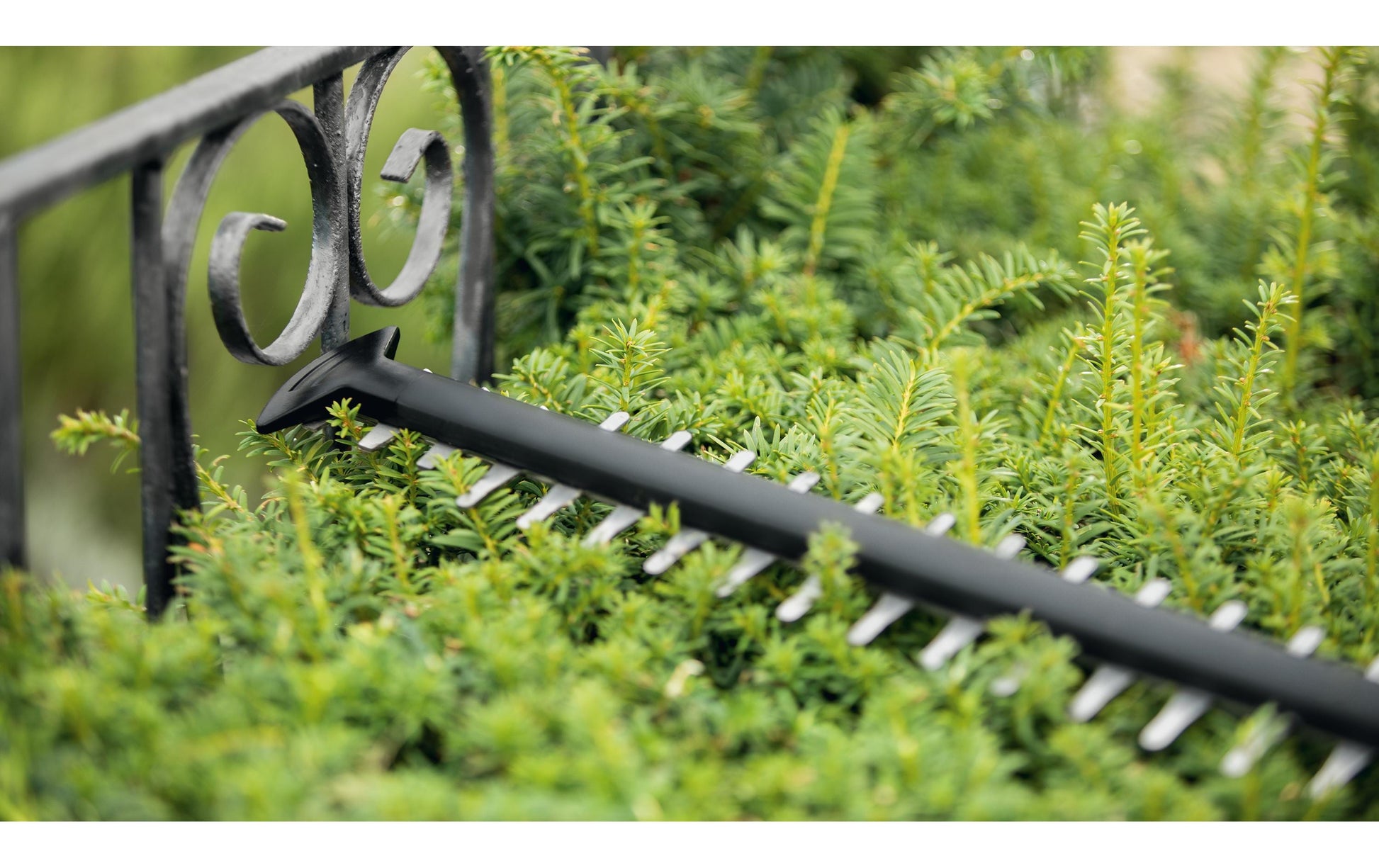 Bosch UniversalHedgeCut Akku-Heckenschere – 18 V – Schwertlänge 50 cm – 2,5 Ah & Ladegerät – POWER FOR ALL