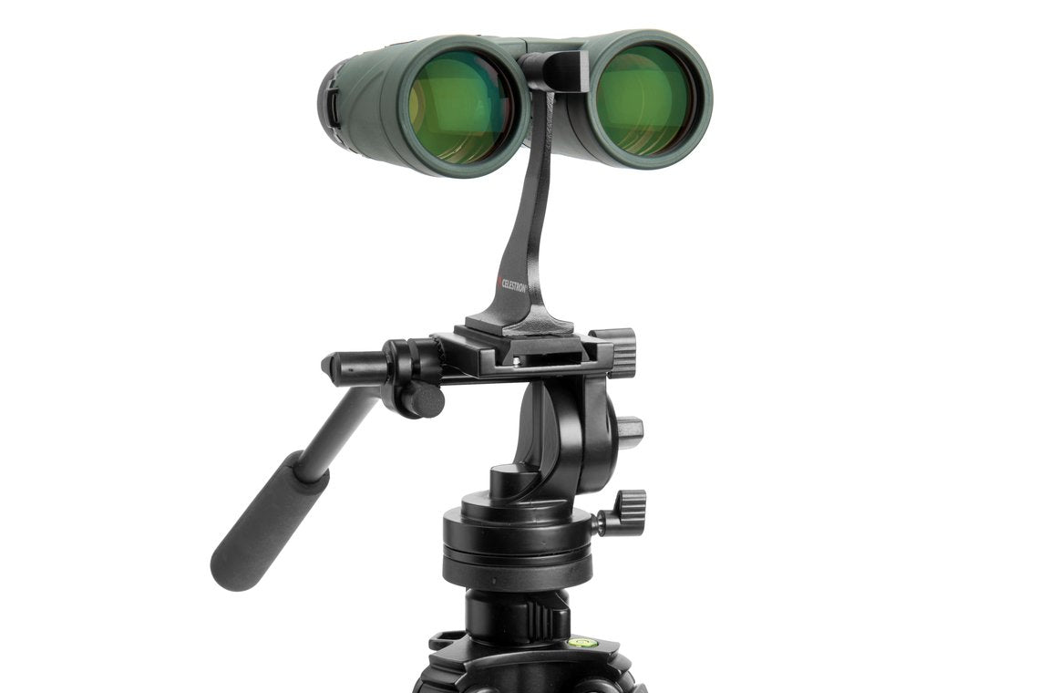 Celestron Nature DX 10×42 Fernglas – 10×, 42 mm Objektiv, BaK-4 Prismen, wasserdicht, grün