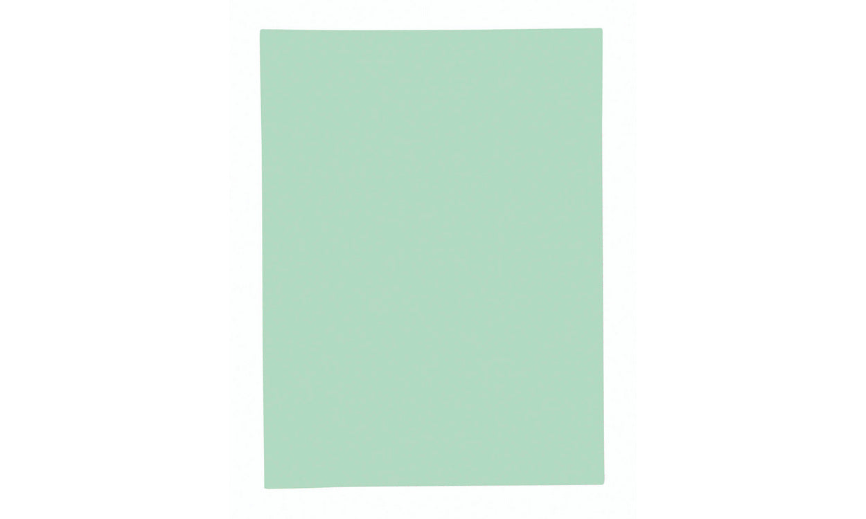 Exacompta Einlagemappe A4 – Karton, Grün, bis 200 Blatt, 100 Stk.