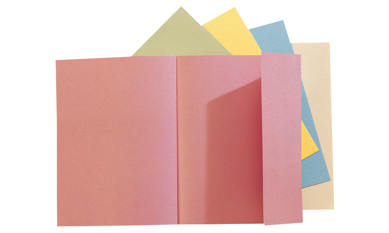 Exacompta Einlagemappe SUPER 160 A4 – Karton, mehrfarbig, bis 200 Blatt, 100 Stk.