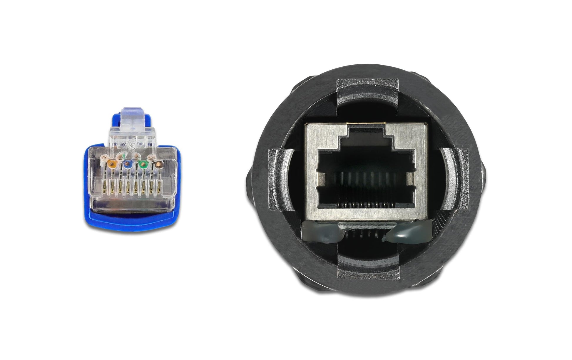 DeLOCK Patchkabel – 0,25 m, RJ45–RJ45, Blau, geschirmt, wasserdicht – 1 Stk.