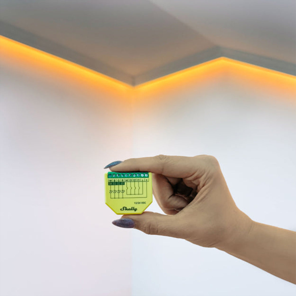Shelly LED-Strip-Controller – RGBW, WLAN – für Alexa, Google Assistant – 12–24 V – 1 Stk. – Plus RGBW PM
