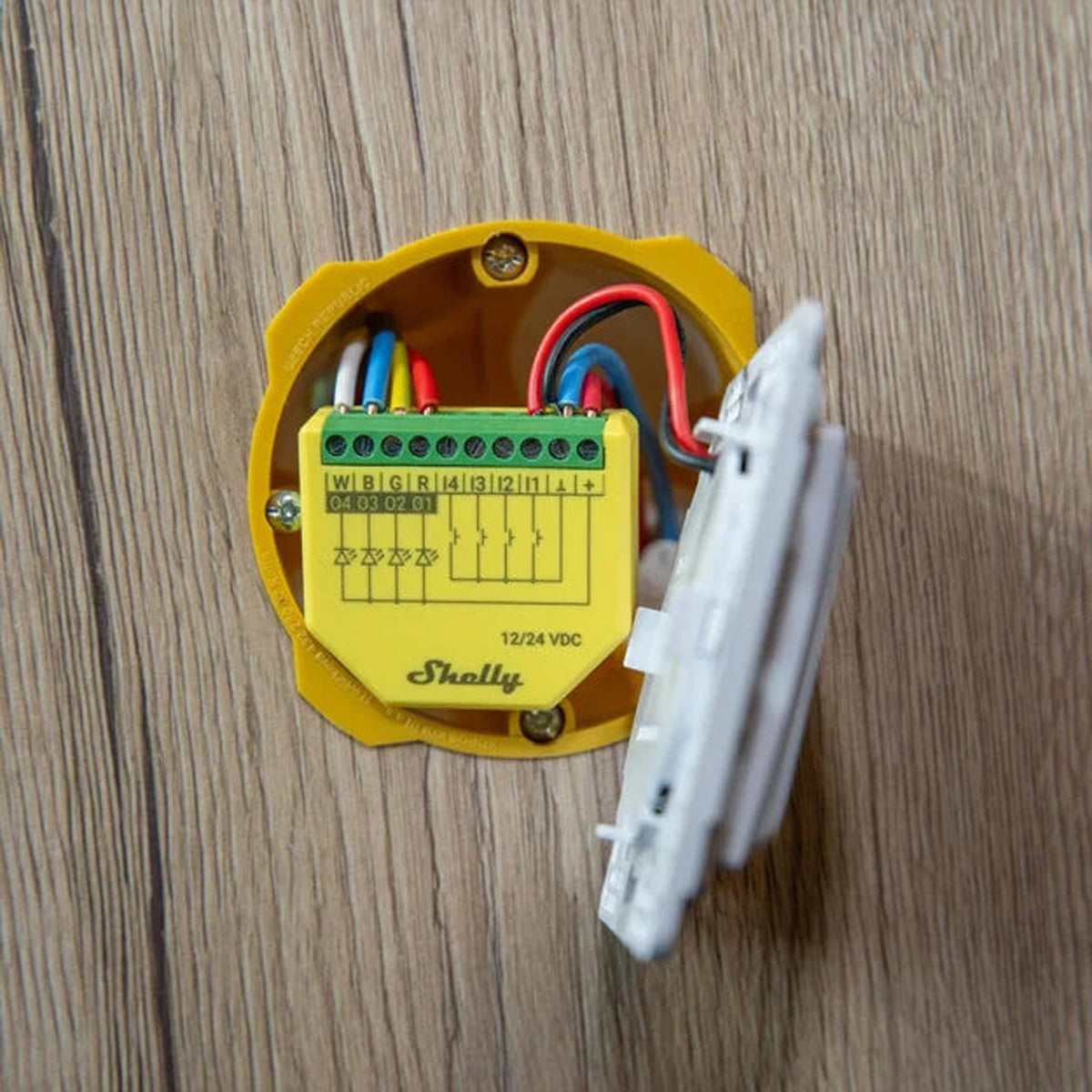 Shelly LED-Strip-Controller – RGBW, WLAN – für Alexa, Google Assistant – 12–24 V – 1 Stk. – Plus RGBW PM