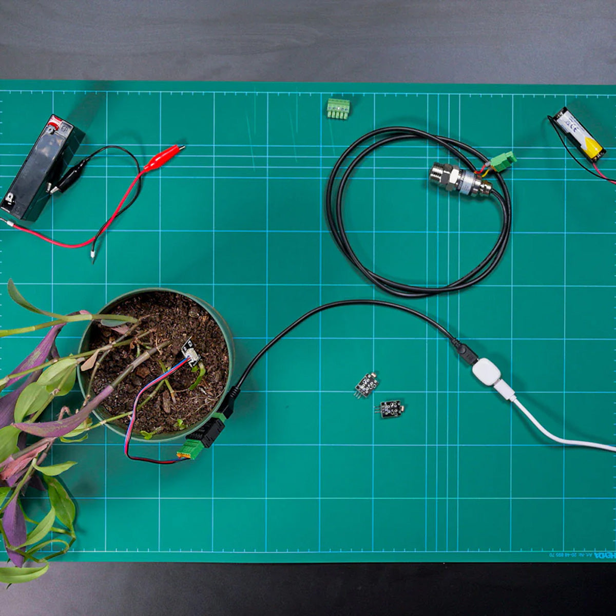 Shelly The Pill – Zubehör – I/O-Modul, USB-C, Niederspannung