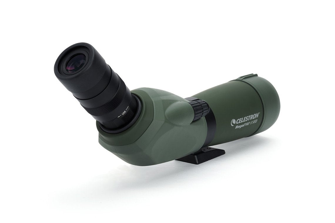 Celestron Regal M2 65ED Spektiv – 48×, 65 mm Objektiv, wasserdicht, schwarz/grün