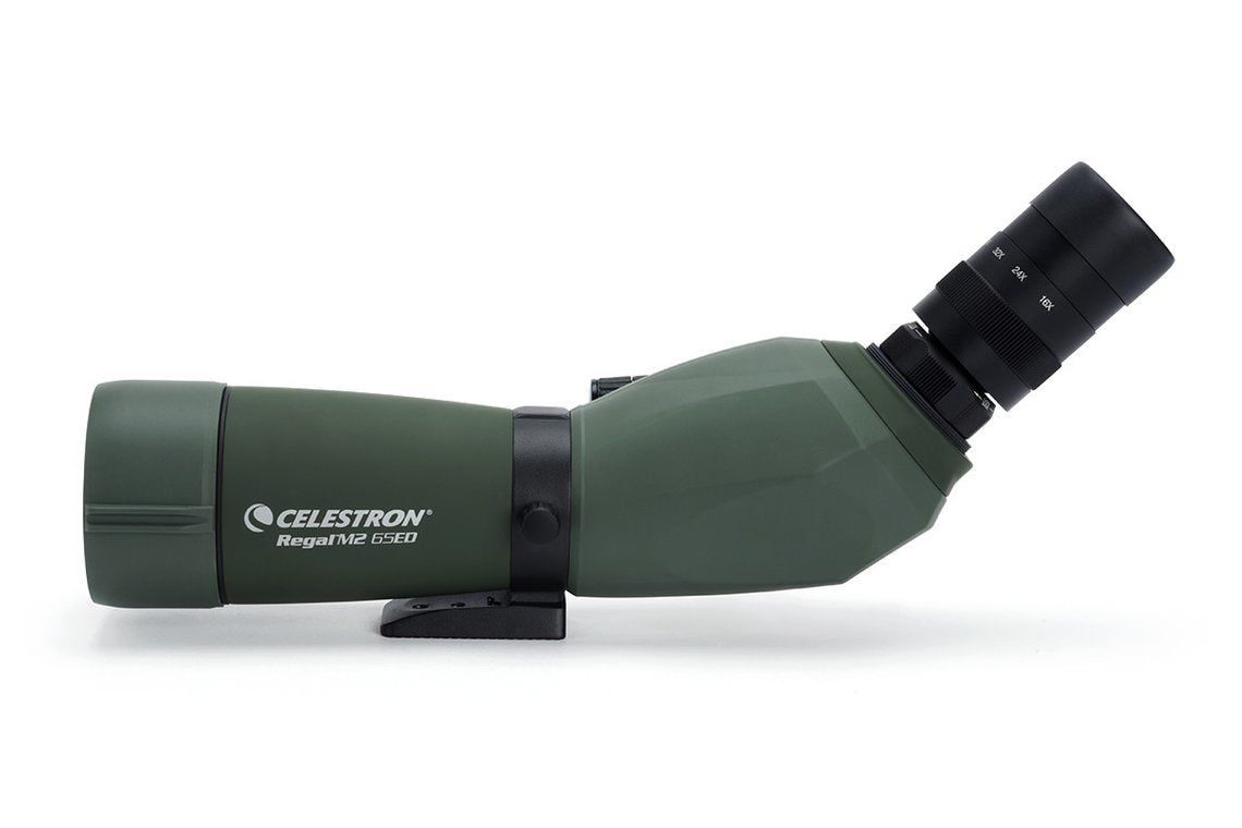 Celestron Regal M2 65ED Spektiv – 48×, 65 mm Objektiv, wasserdicht, schwarz/grün
