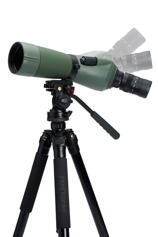 Celestron Regal M2 65ED Spektiv – 48×, 65 mm Objektiv, wasserdicht, schwarz/grün