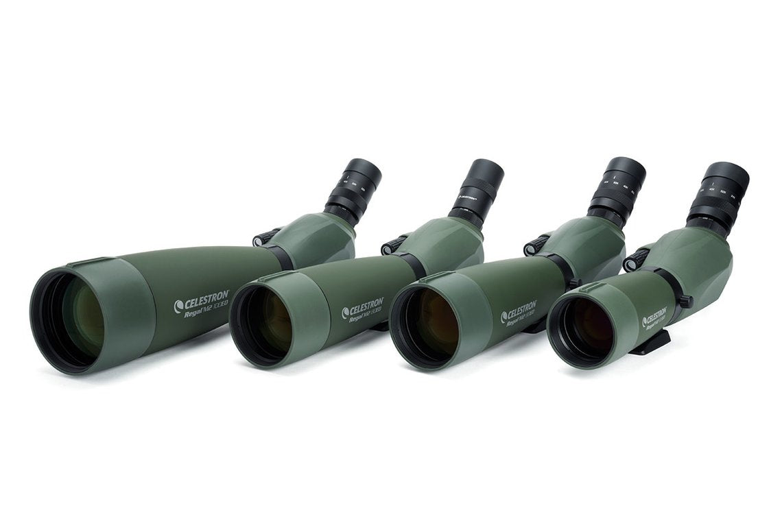 Celestron Regal M2 65ED Spektiv – 48×, 65 mm Objektiv, wasserdicht, schwarz/grün