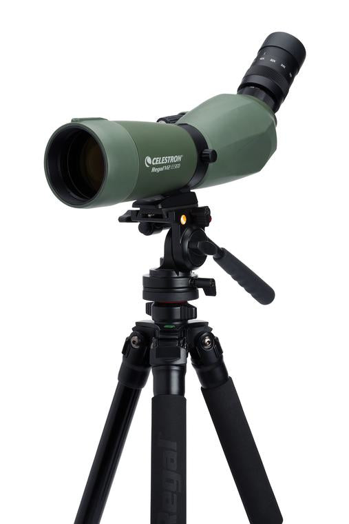 Celestron Regal M2 65ED Spektiv – 48×, 65 mm Objektiv, wasserdicht, schwarz/grün