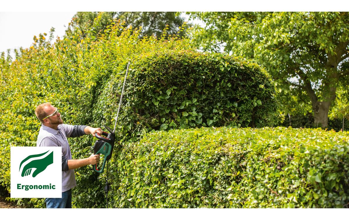 Bosch AdvancedHedgeCut 65 Heckenschere – Netzbetrieb – Schwertlänge 650 mm – Solo