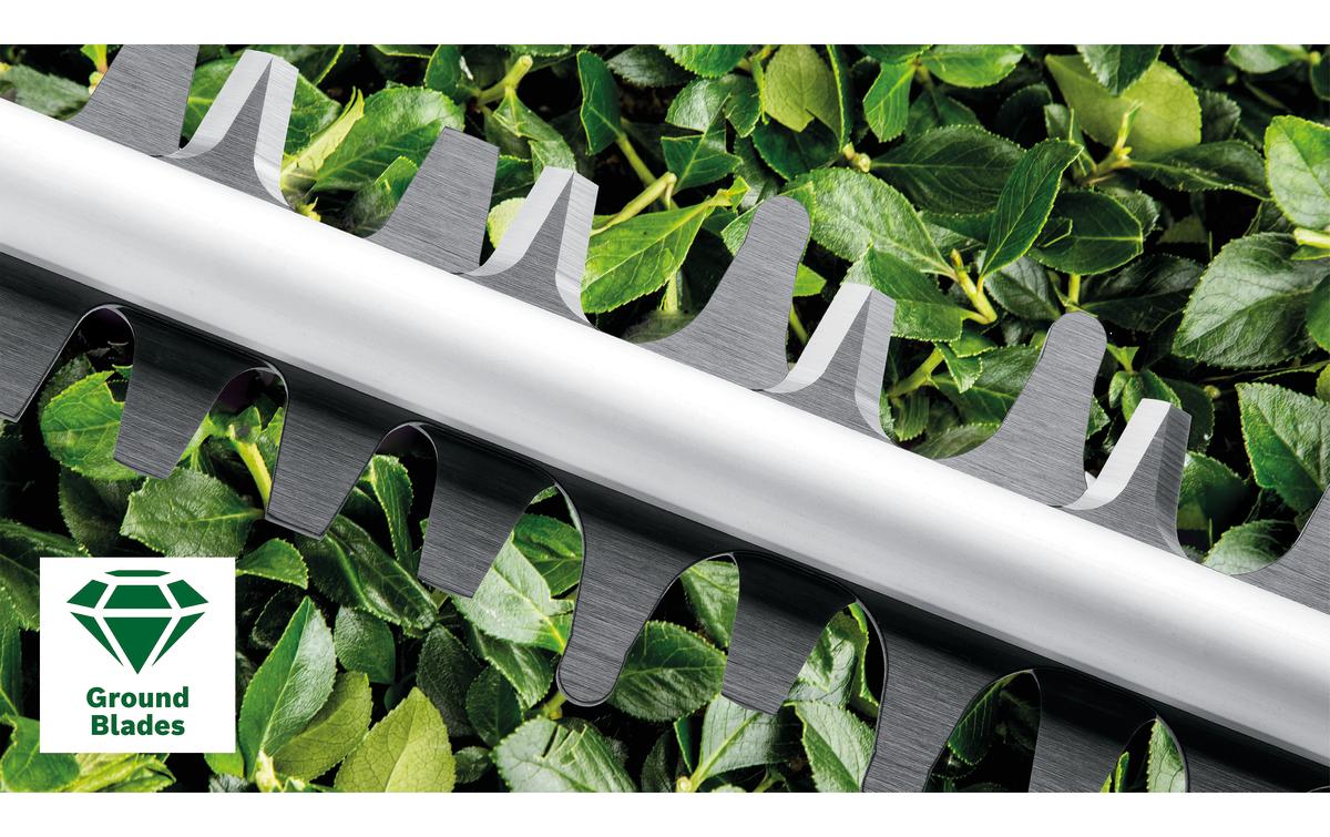 Bosch AdvancedHedgeCut 65 Heckenschere – Netzbetrieb – Schwertlänge 650 mm – Solo