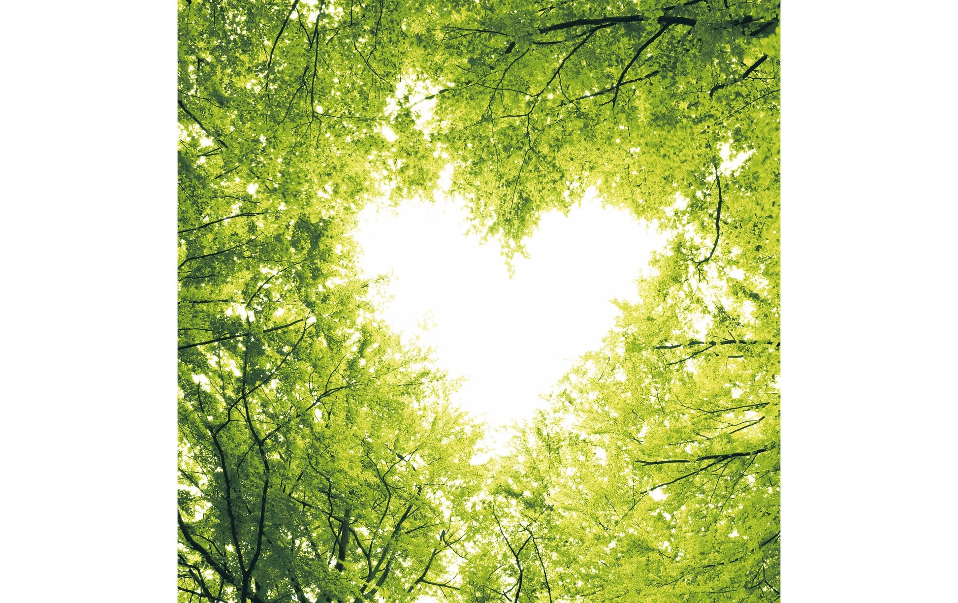 Paper + Design Servietten Nature Love – grün – 33 × 33 cm, 3-lagig – 20 Stück
