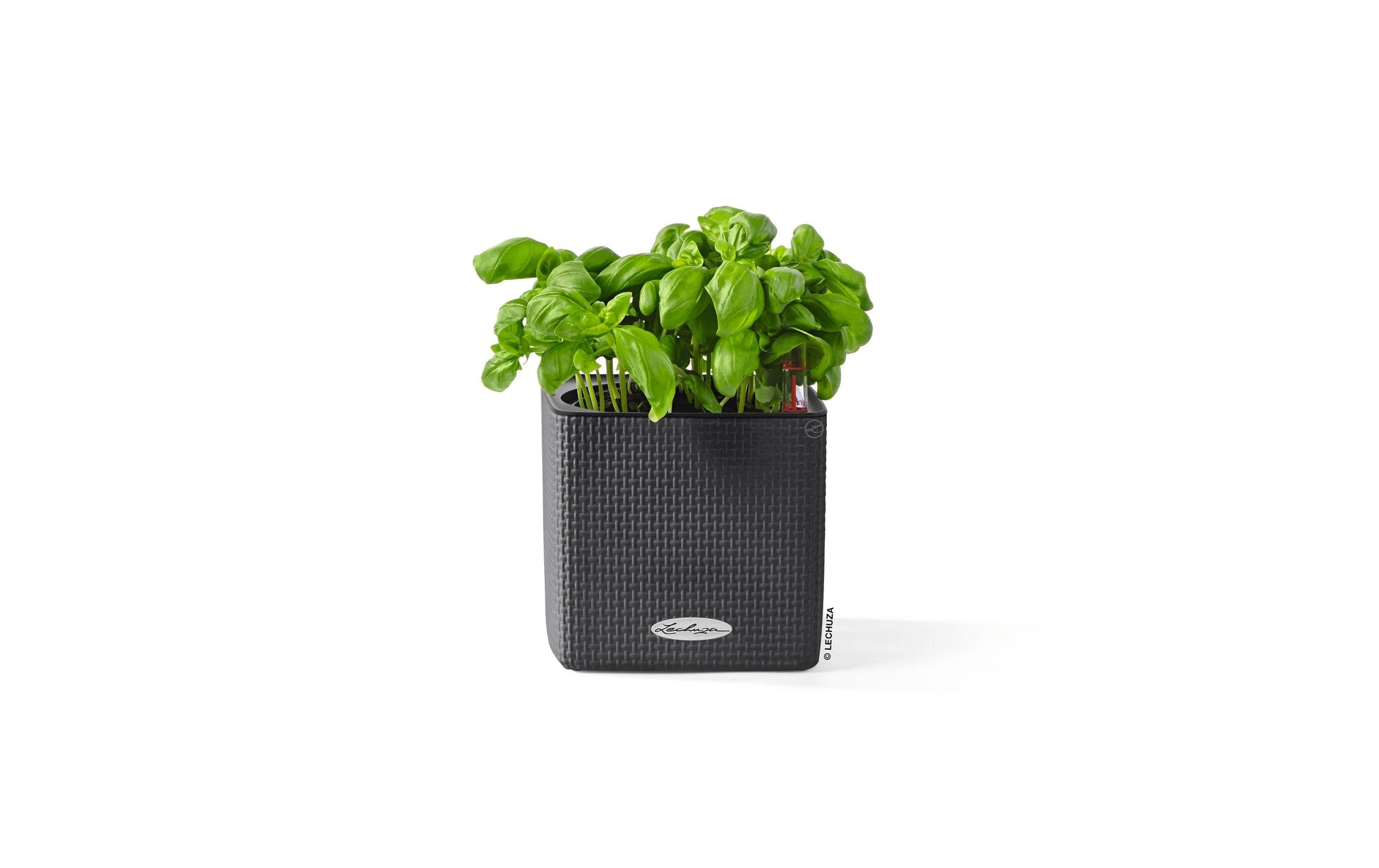LECHUZA Cube Color Topfpflanzer – 14 × 14 × 13,5 cm – Kunststoff, grau