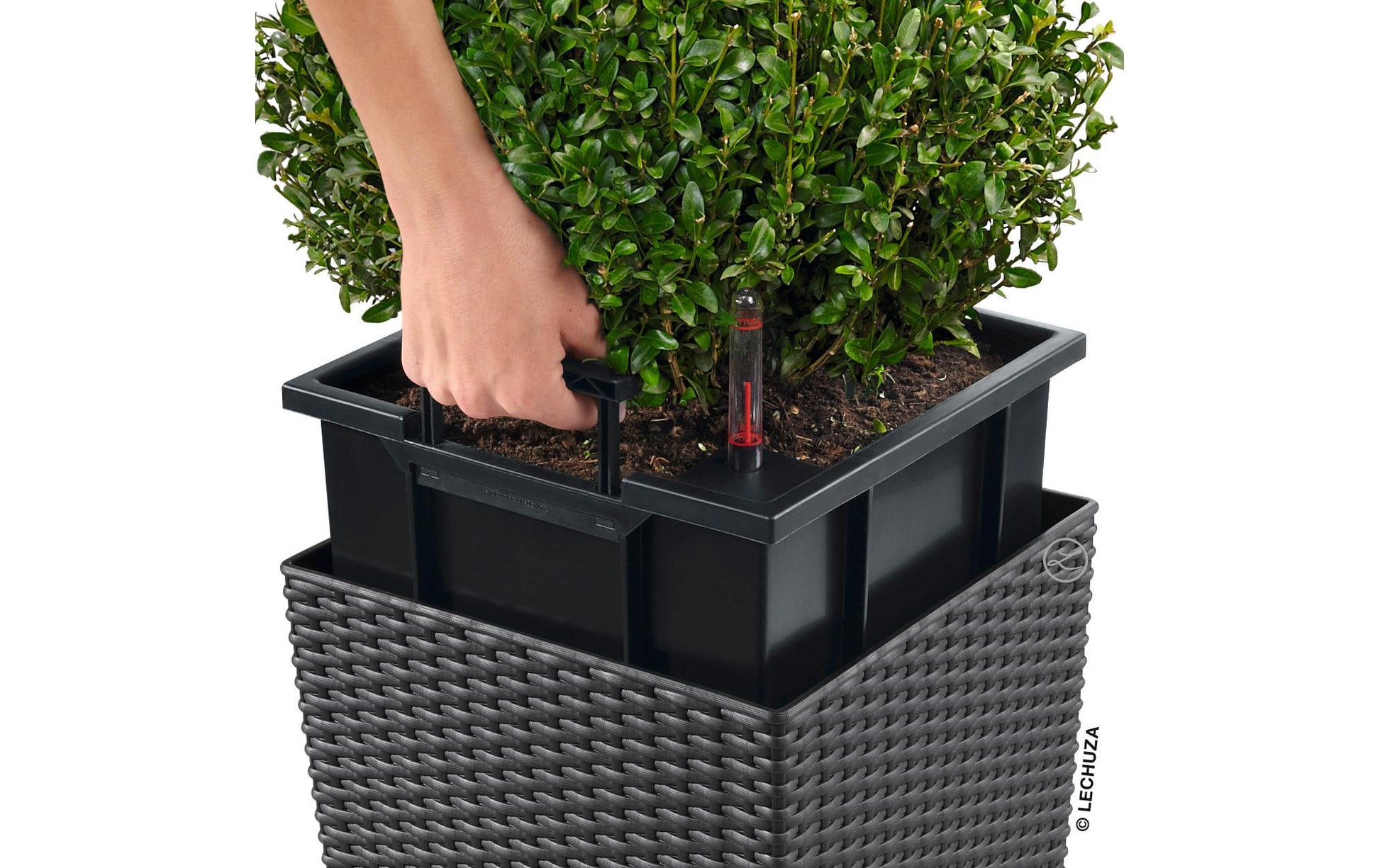 LECHUZA Cube Cottage Topfpflanzer – 50 × 50 × 50 cm – Kunststoff, grau