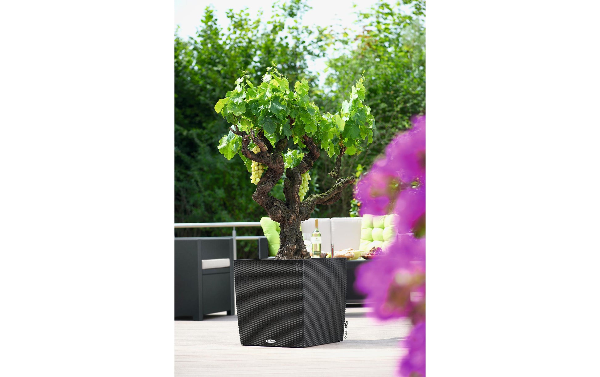 LECHUZA Cube Cottage Topfpflanzer – 50 × 50 × 50 cm – Kunststoff, grau