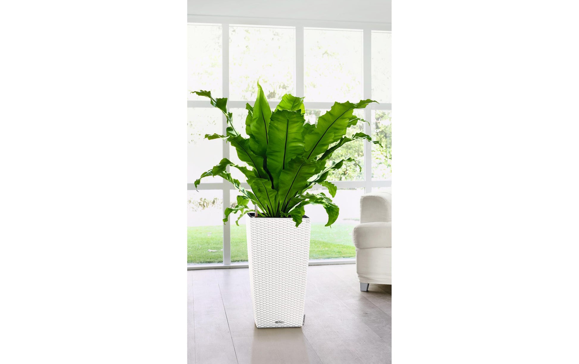 LECHUZA Cubico Topfpflanzer – 30 × 30 × 56 cm – Kunststoff, weiss
