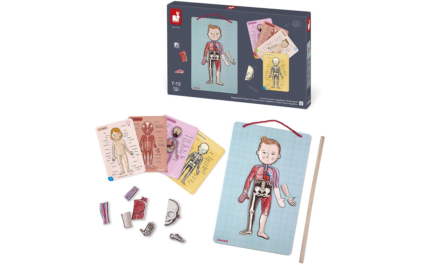 JANOD Magnet-Set – Körper, 99 Teile, 7–12 Jahre