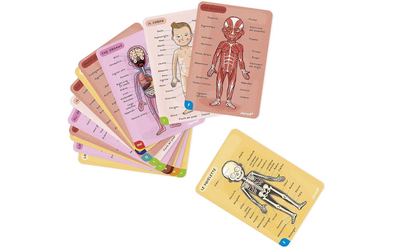 JANOD Magnet-Set – Körper, 99 Teile, 7–12 Jahre