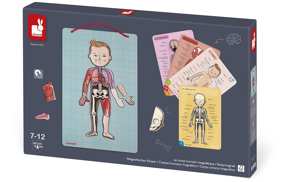 JANOD Magnet-Set – Körper, 99 Teile, 7–12 Jahre