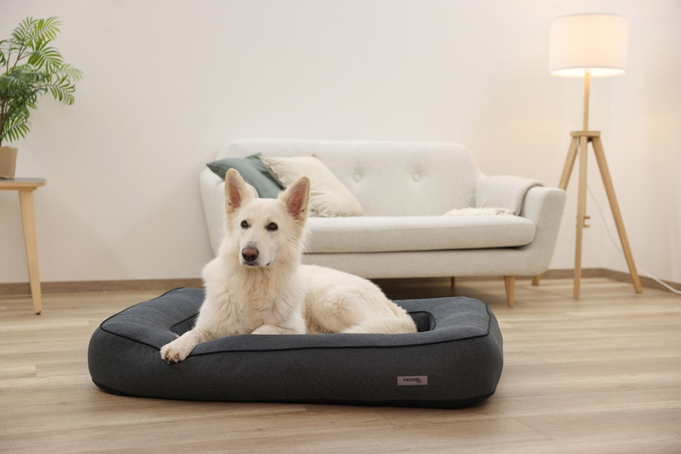 Kerbl Platin Ortho Hundebett – 70 × 100 × 18 cm, Schaumstoff, abnehmbarer Bezug, grau