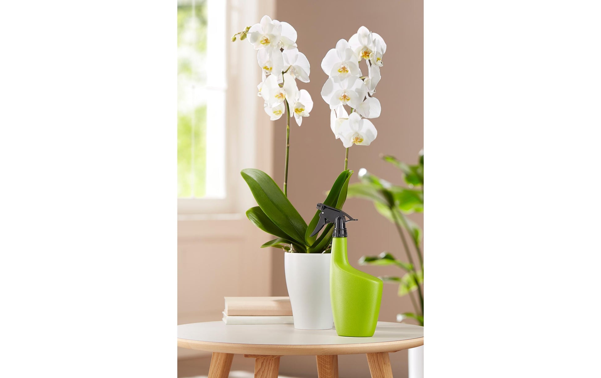 Scheurich Sprühflasche Smilla 143 – 0,7 l – Polyethylen (PE) – Grün – 12,2 × 6,7 × 29,0 cm