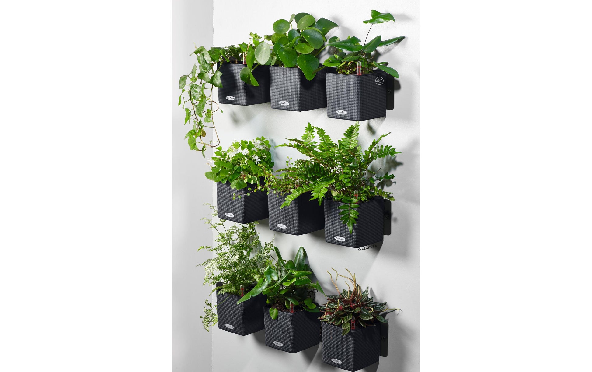 LECHUZA Topfpflanzer – 48 × 14 × 15 cm – Kunststoff, Schwarz