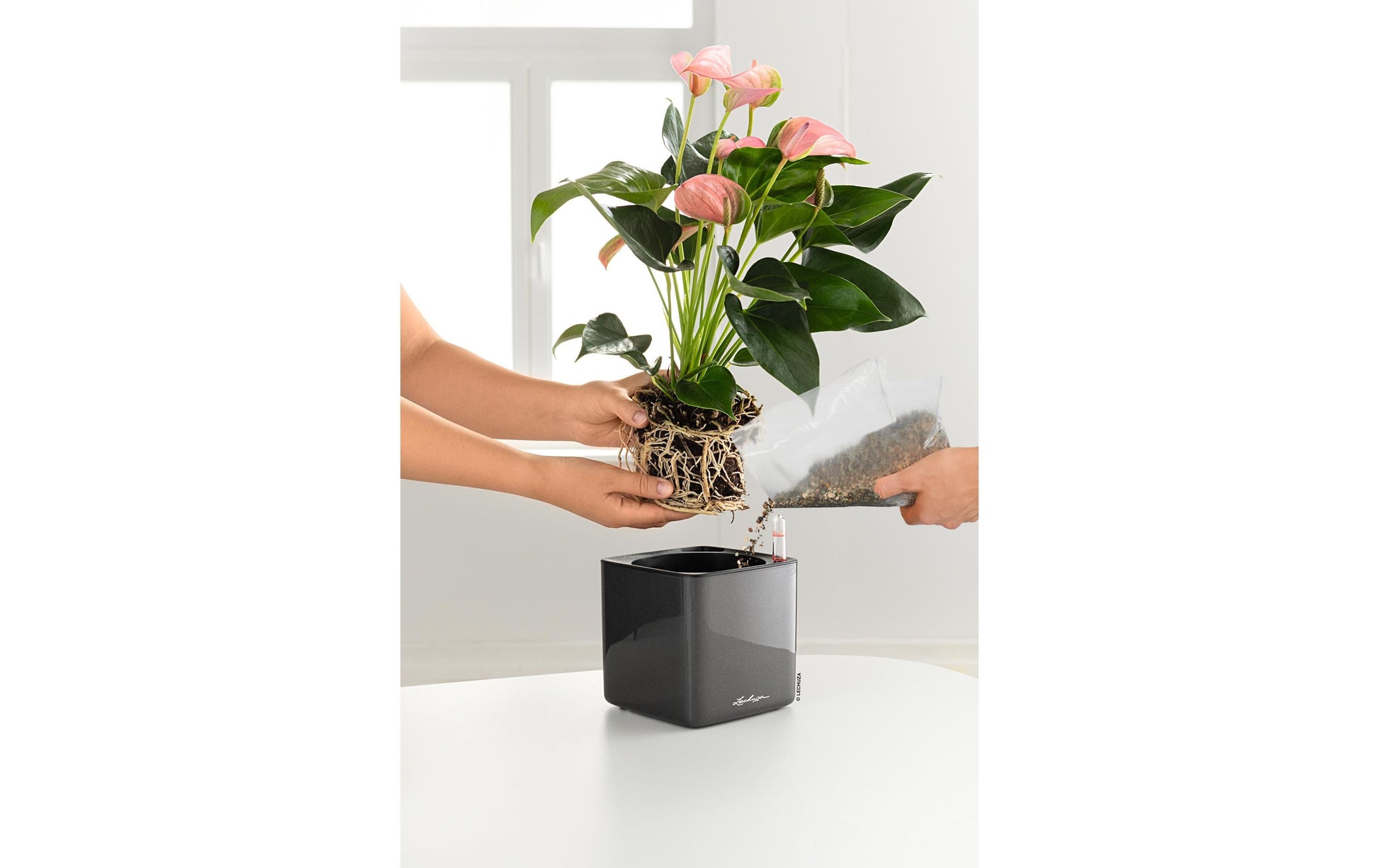 Lechuza CUBE Glossy Blumentopf – 14 × 14 × 13,5 cm – Polypropylen (PP), schwarz
