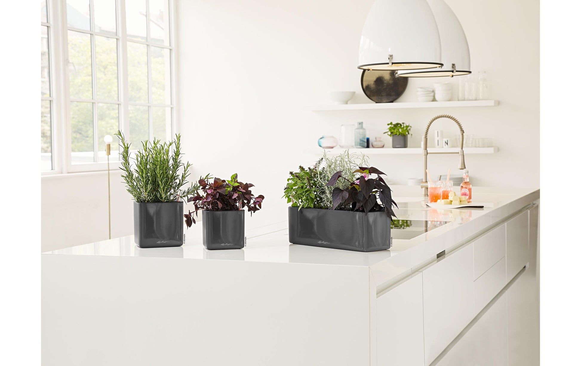 Lechuza CUBE Glossy Blumentopf – 14 × 14 × 13,5 cm – Polypropylen (PP), schwarz