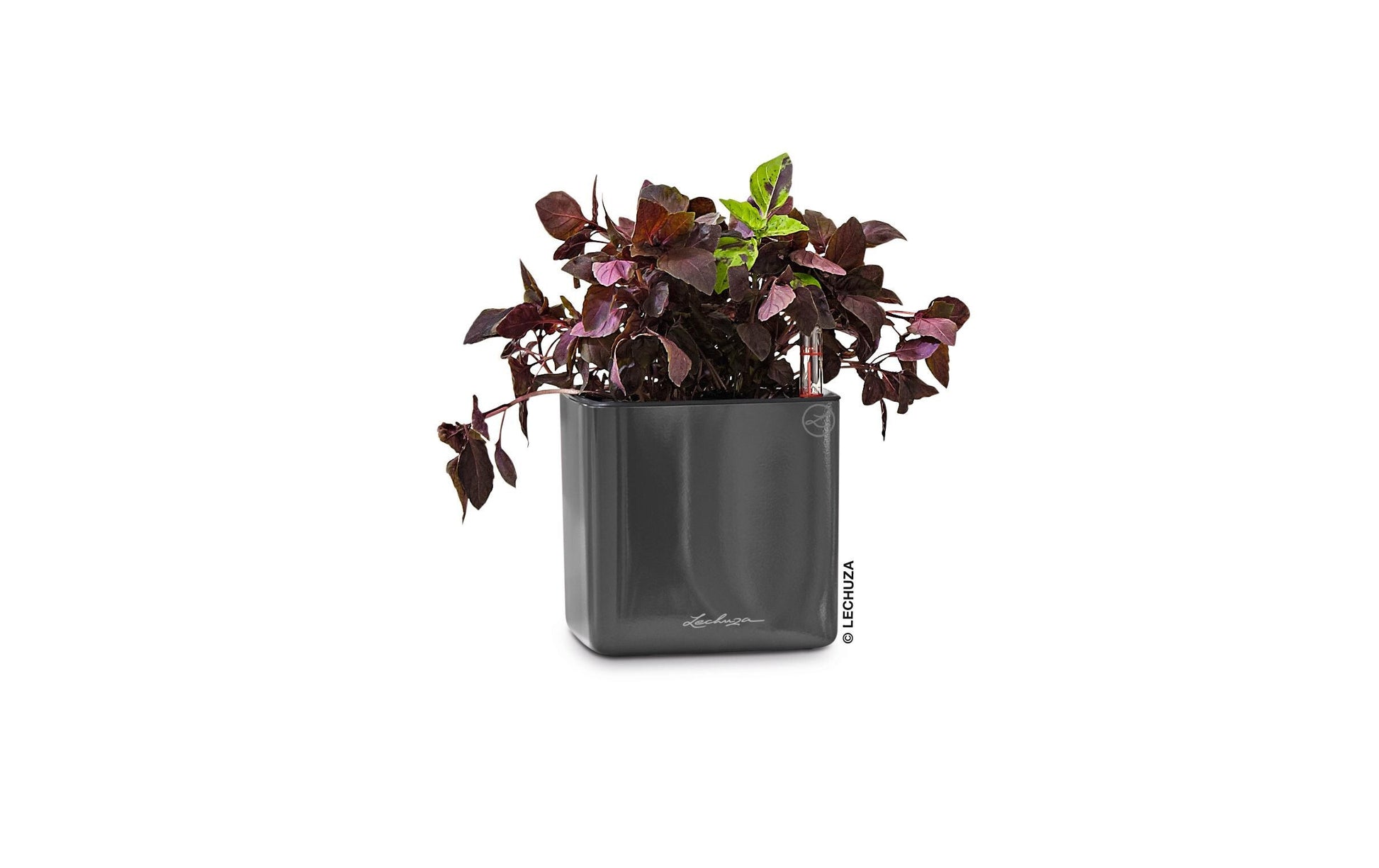 Lechuza CUBE Glossy Blumentopf – 14 × 14 × 13,5 cm – Polypropylen (PP), schwarz