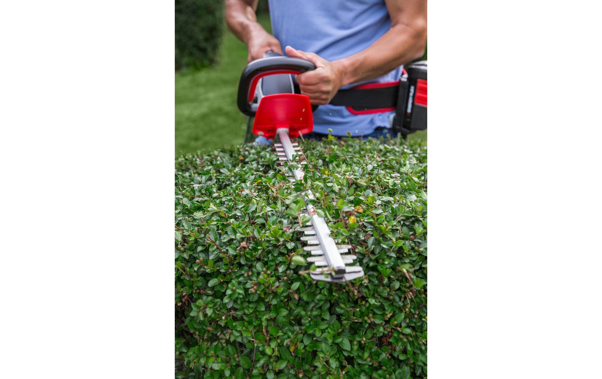 AL-KO HAT 4055 Akku-Heckenschere – 36 V – Schwertlänge 55 cm – Solo – AL-KO ENERGY FLEX 36 V