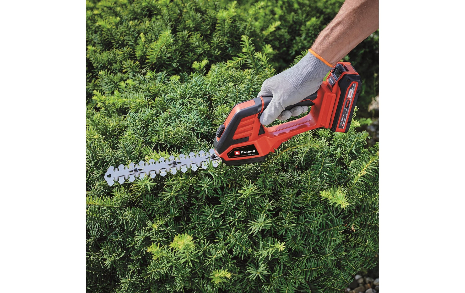 Einhell GE-CG Akku-Gras- und Strauchschere – 18 V – Schnittbreite 100 mm – Solo