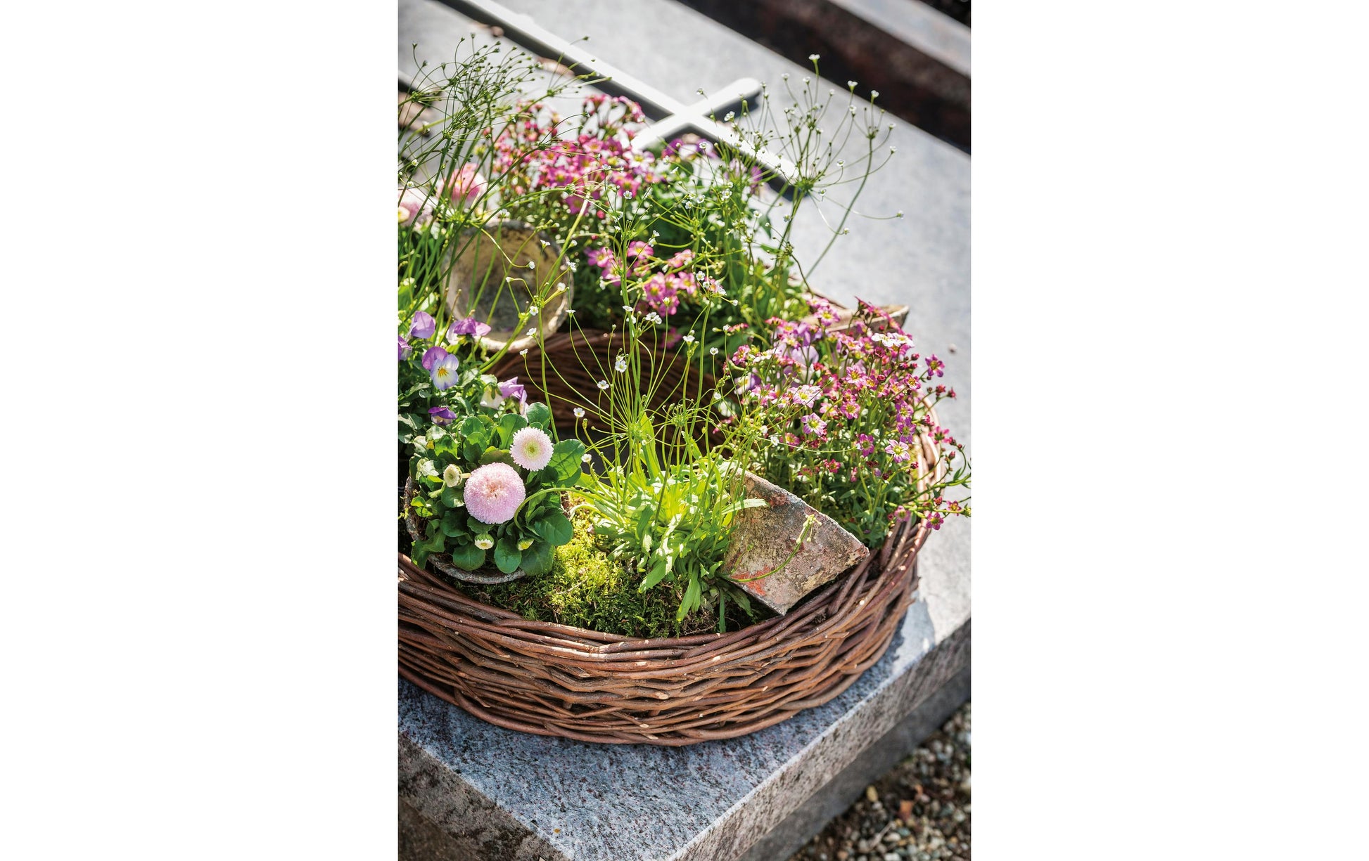 Opiflor Pflanztopf – Ø 16,5 × 11,5 cm – Harz, Terrakotta – 6-teilig
