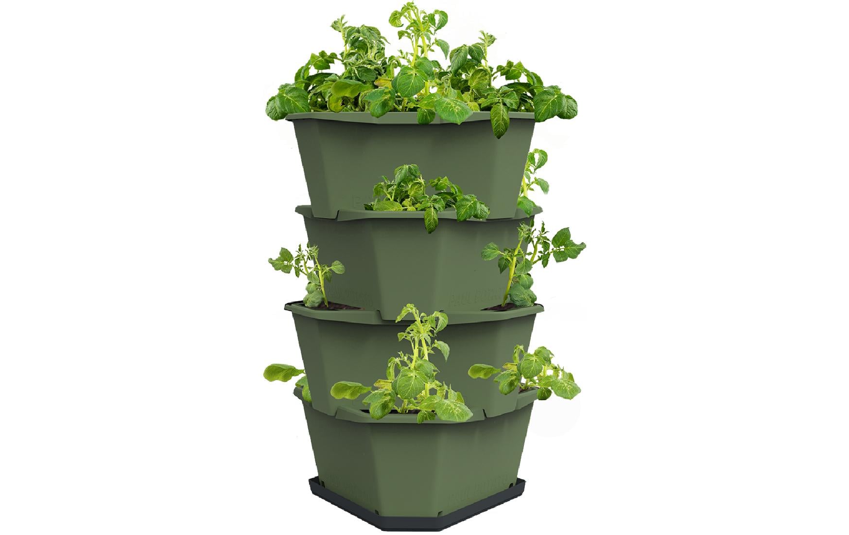 Gusta Garden Vertikale Pflanzmaschine – für 56 l, 38,8 × 44 × 22 cm – Kunststoff, dunkelgrün