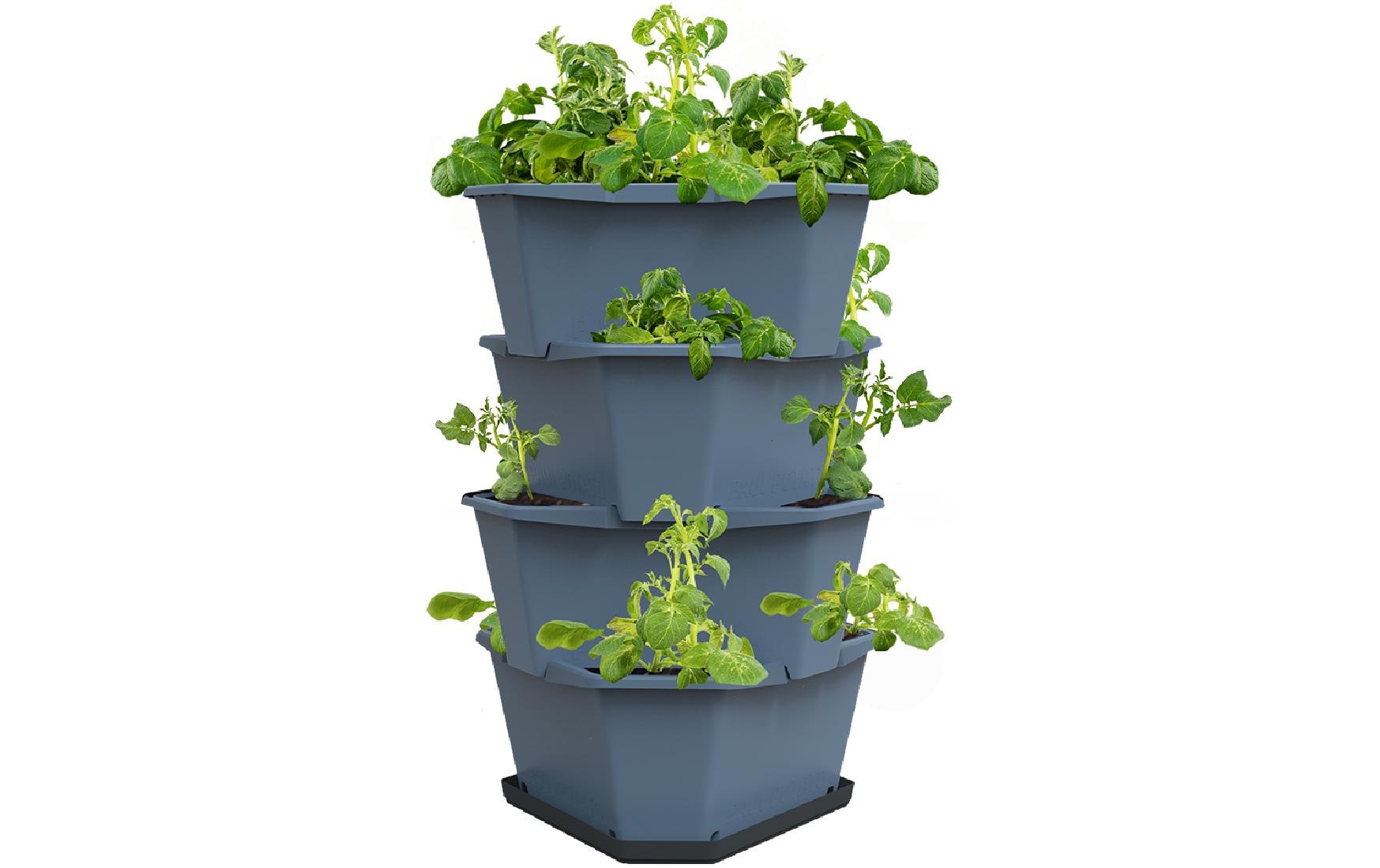 Gusta Garden Vertikale Pflanzmaschine – 44 × 65 × 44 cm – Kunststoff, Blau