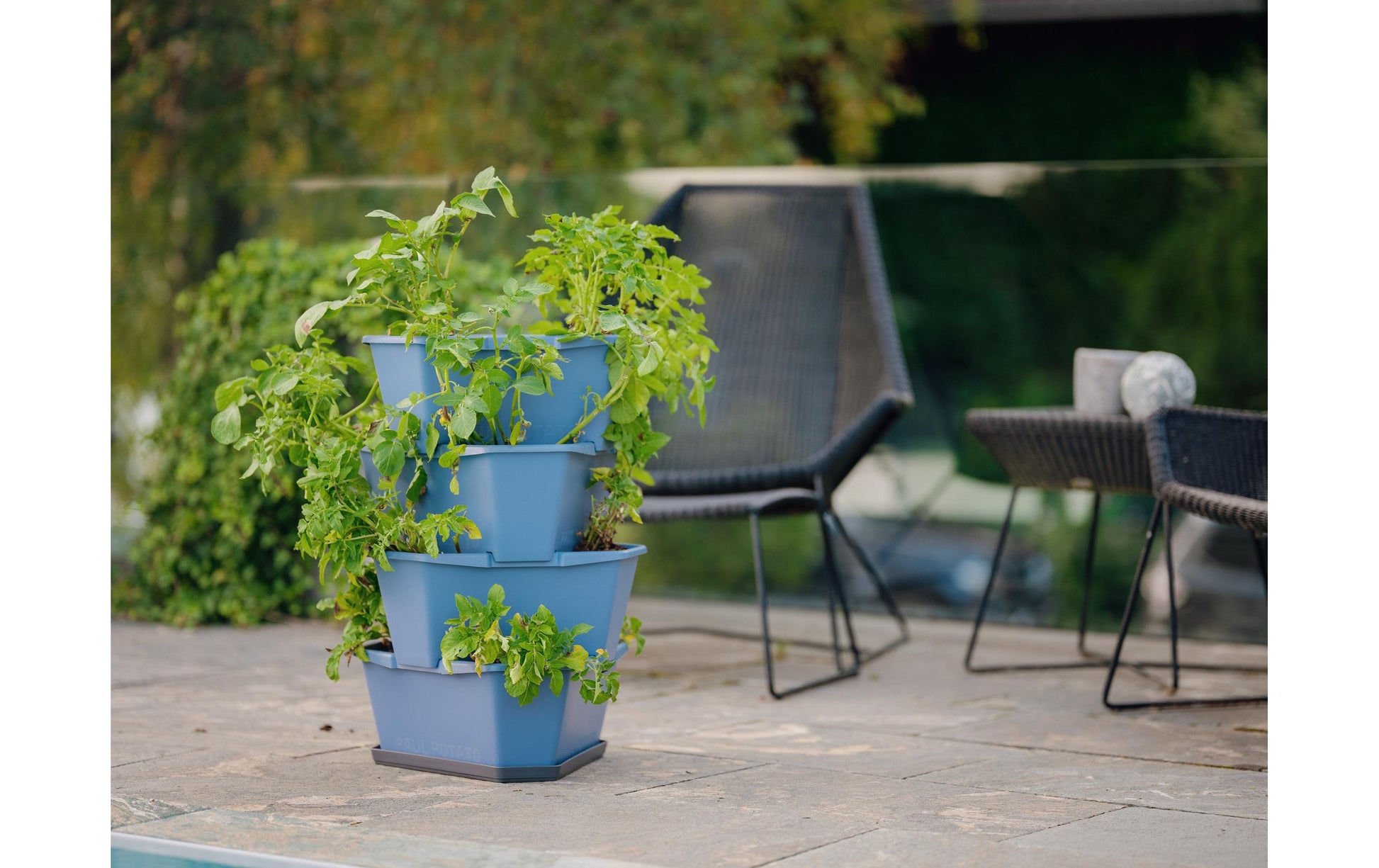 Gusta Garden Vertikale Pflanzmaschine – 44 × 65 × 44 cm – Kunststoff, Blau
