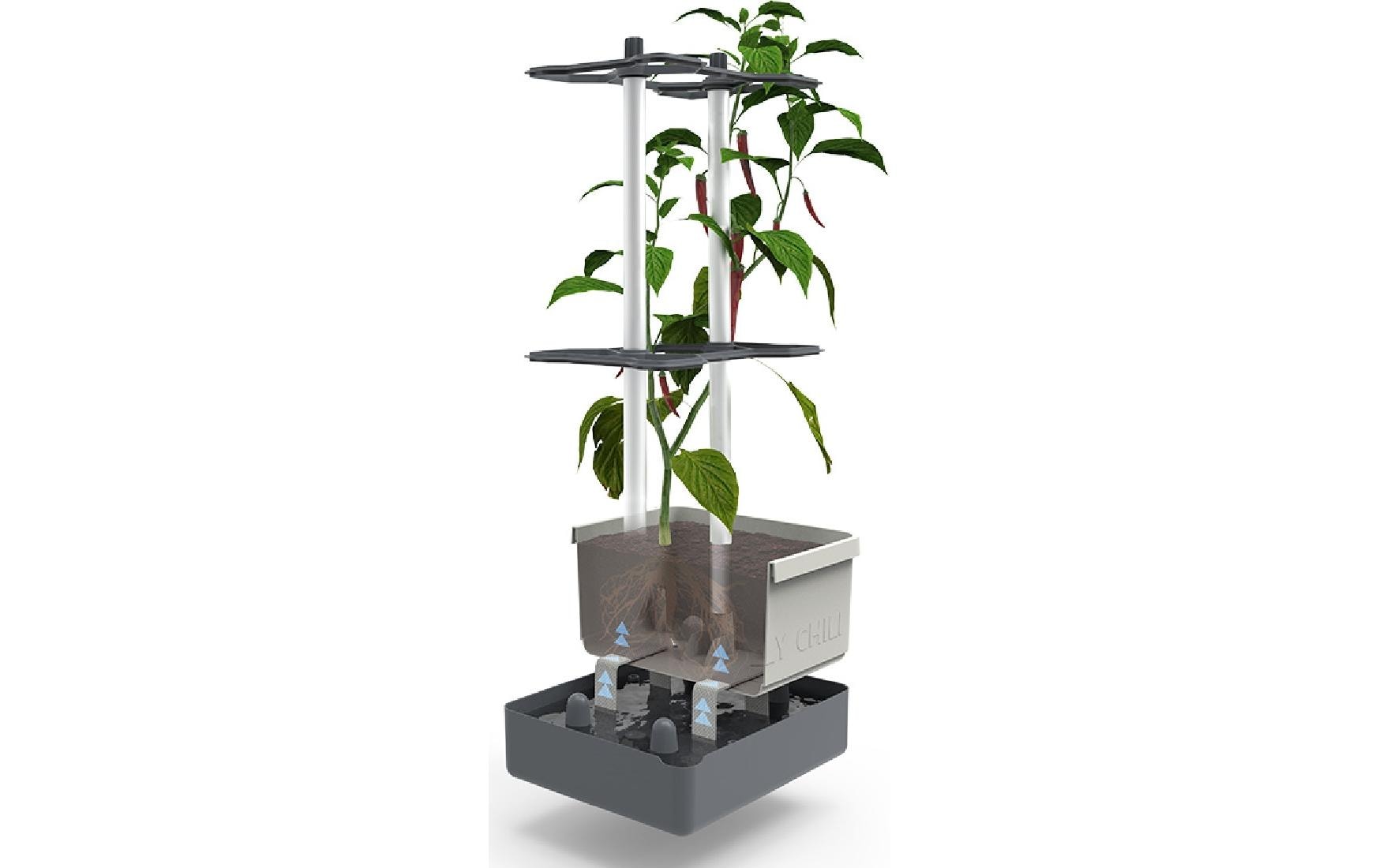Gusta Garden CHARLY CHILI Topfpflanzer – 10 l, 27,5 × 68,7 × 34,5 cm – Kunststoff & Aluminium, dunkelgrün