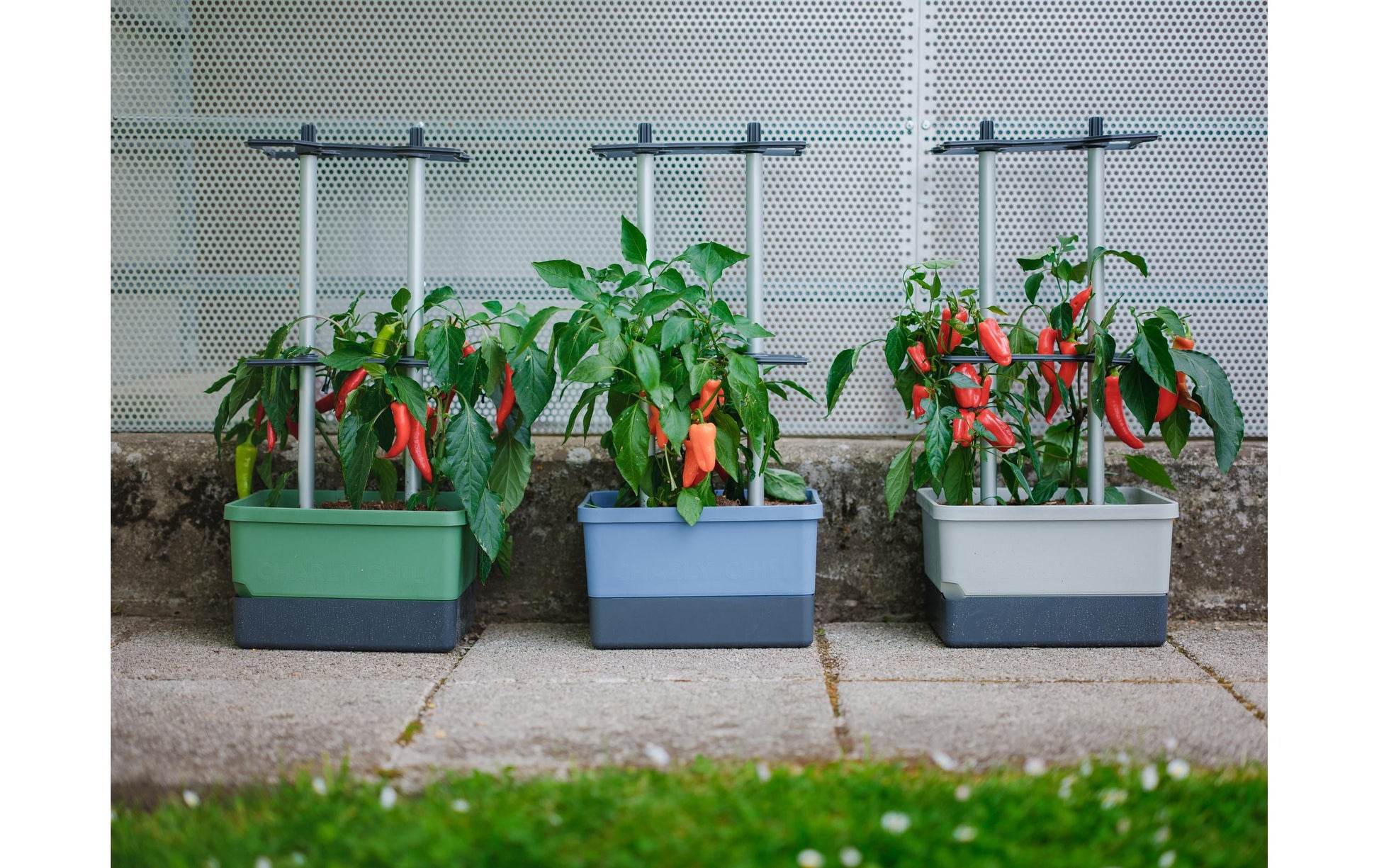 Gusta Garden Charly Chili Topfpflanzer – 10 l, 35 × 28 × 69 cm – Polypropylen & Aluminium, blau